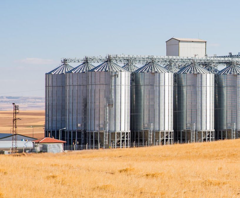 Sanitation agroalimentaire : garantir une hygiène irréprochable face aux nuisibles