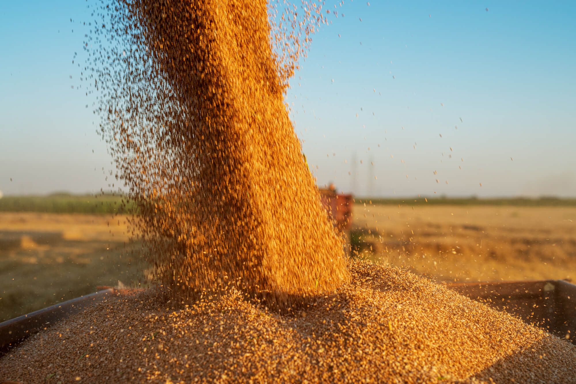 sanitation agroalimentaire