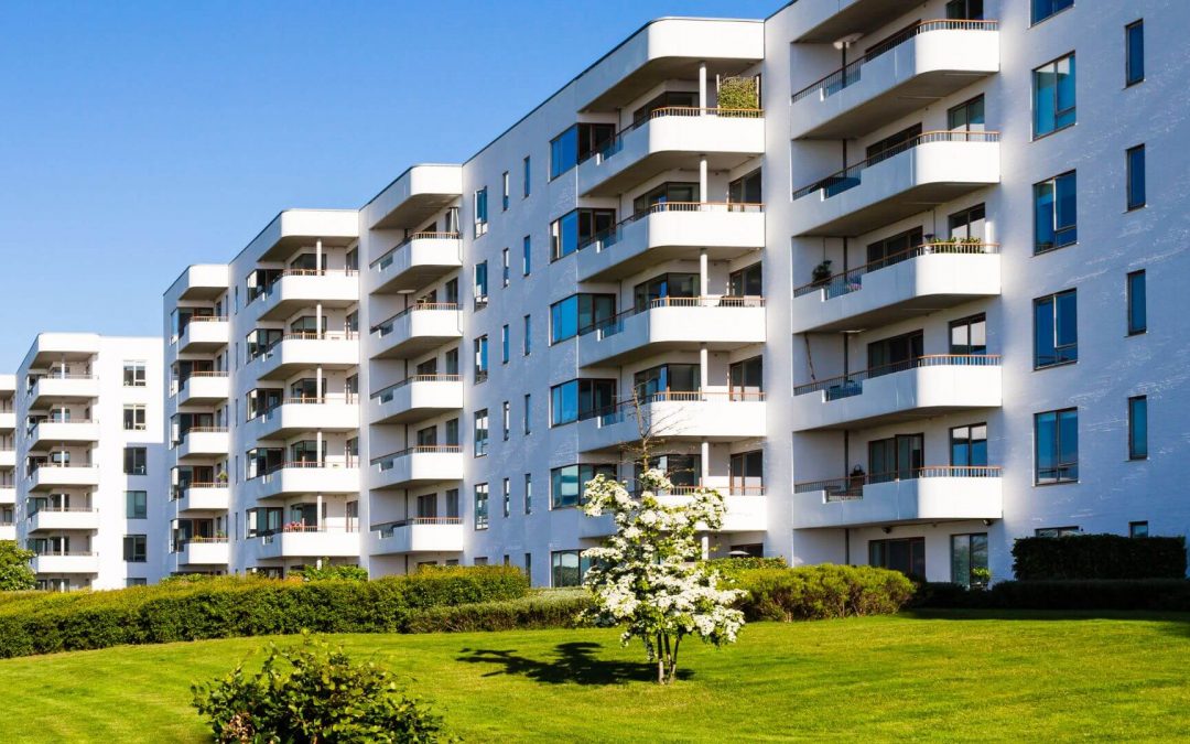 Punaises de lit : obligations des bailleurs et syndics, traitement, responsabilités et prévention