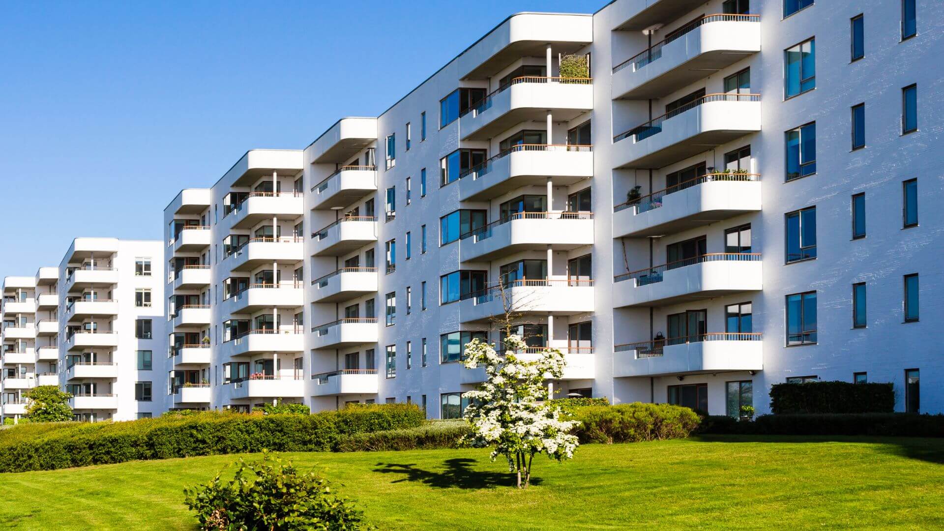 logement-collectif-punaises logement collectif punaises