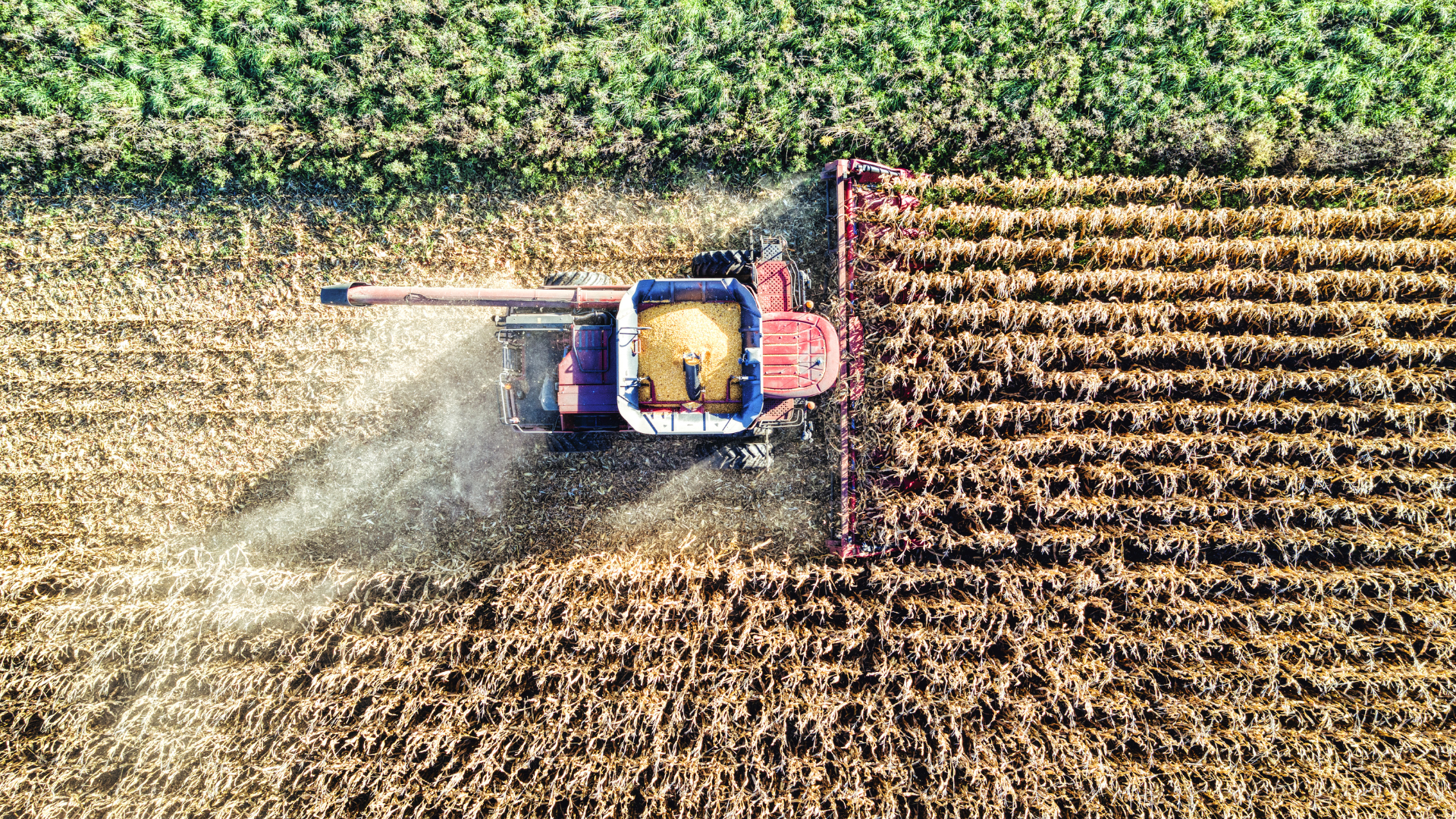Champ agricole, début de la chaîne d'approvisionnement du secteur agroalimentaire