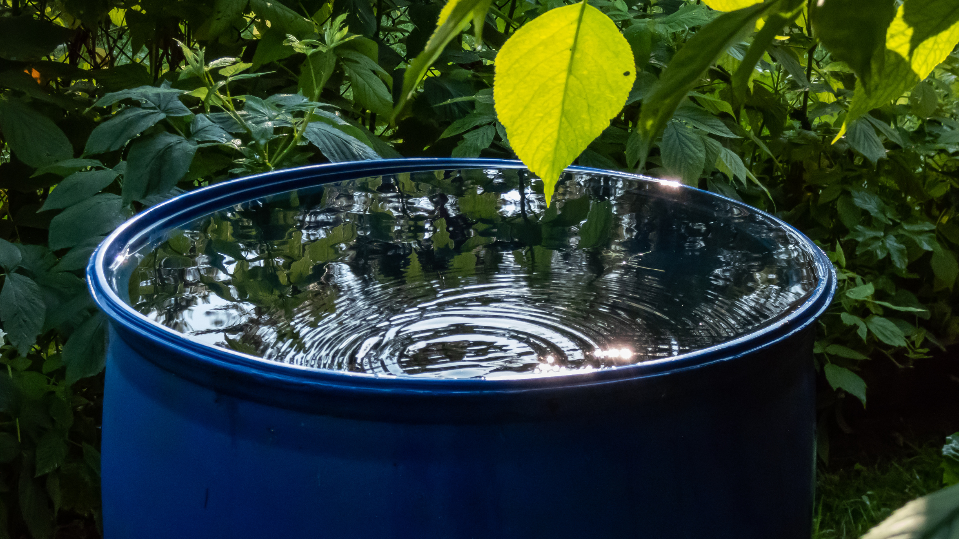 Eau stagnante retenue dans un équipement extérieur après une pluie d'été